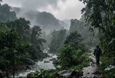 Prakiraan Cuaca Sumsel 17 Maret 2026: Hampir Semua Daerah Diguyur Hujan, Lubuklinggau Berawan