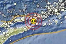 Gempa Magnitudo 4,0 Guncang Maluku Barat Daya pada Kedalaman 166 Km, Tak Berpotensi Tsunami