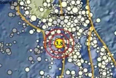 BMKG Catat Gempa Beruntun Pagi Ini, Tahuna Sulut Jadi yang Terbesar