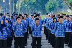 Inilah 2 Jalur Nasib PPPK Paruh Waktu di Tahun 2026