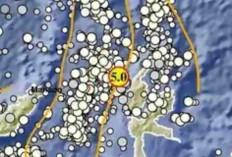 Gempa Magnitudo 5,0 Guncang Pulau Doi pada Kedalaman 103 Km, Tak Berpotensi Tsunami