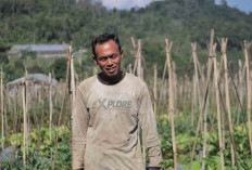 Mengenal Desa BRILian Sumowono, Desa Sayur yang Tumbuh dan Terus Berinovasi Bersama BRI