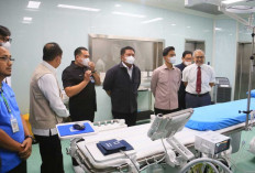 Dampingi Wapres Gibran Tinjau Layanan BPJS, Herman Deru dan Cik Ujang Komitmen Benahi Fasilitas Kesehatan