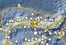 Gempa Magnitudo 4,0 Pagi Ini Guncang Boalemo Gorontalo, Tak Berpotensi Tsunami