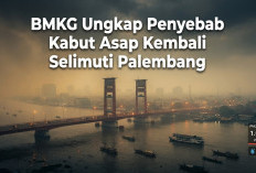 PALEMBANG GEMPAR! BMKG Bongkar Asap Maut PM2.5 Capai 1.036 dan Kelembapan 95%, Udara Seperti 'Lautan Asap'!