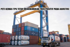 GAK ADA OBAT! Arus Peti Kemas TPS Agustus 2026 Tembus 128 Ribu TEUs, Ekspor RI Menggila Bantai Target!