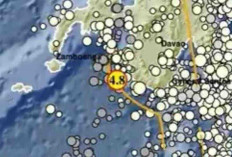 Gempa Magnitudo 4,8 Pagi Ini Kembali Guncang Tahuna Sulut, Tak Berpotensi Tsunami