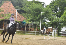 Satu-satunya di Palembang! Sensasi Berkuda dan Nongkrong Estetik di Bale Lazara