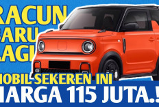 Intip Spesifikasi Geely Panda Mini Karting Edition: Mobil Listrik Imut dengan Performa Agresif