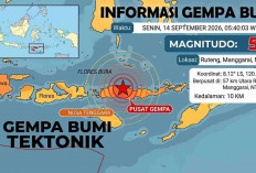 Pagi-pagi Gempa M5,1 Guncang Ruteng NTT, Ini Daftar Lokasi dan Kedalamannya
