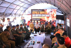 Hotspot Sumsel Menurun: Menhut RI dan Kepala BNPB Tegaskan Komitmen Perkuat Satgas Darat Atasi Karhutla