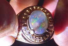  Aura Gaibnya Bikin Merinding! 3 Batu Akik Kalimaya Konon Penarik Hoki dan Penjaga Energi