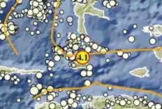 Halmahera Selatan Diguncang Gempa 4,1 Magnitudo, Cek Daftar Gempa Lain di Indonesia Siang Ini