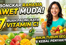 Bongkar Rahasia Awet Muda! 7 Buah Paling Kaya Vitamin C yang Bikin Tubuh Segar dan Kebal Penyakit