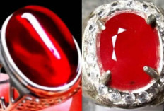 BIKIN HEBOH! Rahasia Batu Akik Merah Delima, Konon Bisa Angkat Derajat Sekaligus Menarik Musibah