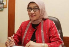 MenPAN RB Bicara PPPK Paruh Waktu, Begini Nasib Kedepannya