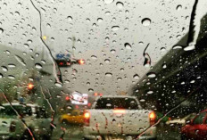 Cuaca Sumsel Hari Ini Didominasi Hujan, Cek Prakiraan Lengkap Tiap Daerah