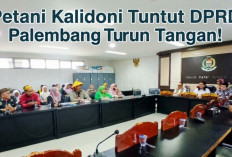 Lahan Sawah Diduga Ditimbun Developer, Petani Kalidoni Tuntut DPRD Palembang Turun Tangan!