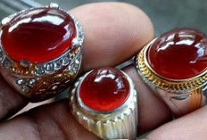 Aura Mistis Batu Akik Raflesia, Konon Pembawa Keberuntungan dan Ketenangan Batin