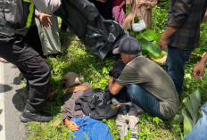 Motor Oleng Hantam Lubang di OKU Timur, Dua Penumpang Tewas Tertabrak Mobil Misterius