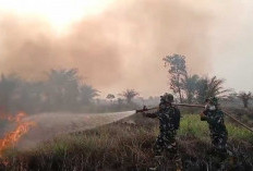 Gerak Cepat! TNI dan Tim Gabungan Berhasil Jinakkan Karhutla Seluas 2 Hektare di Ogan Ilir