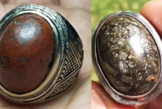 Khasiat Sakti Batu Akik Badar Besi, Konon Bisa Menangkal Energi Negatif