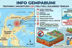 Gempa Magnitudo 3,8 Guncang Toli-Toli Pagi Ini, BMKG: Tak Berpotensi Tsunami