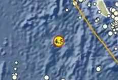 Gempa Magnitudo 4,5 Guncang Kepulauan Mentawai Pagi Ini, Tak Berpotensi Tsunami