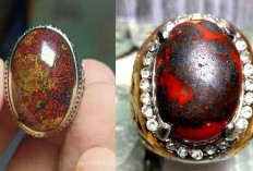 Lebih dari Sekadar Jimat! Ini 5 Rahasia Manfaat Batu Akik Badar Besi yang Jarang Terungkap