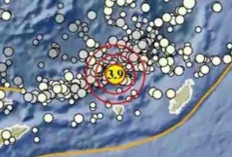 Gempa Magnitudo 3,9 Kembali Guncang Maluku Tenggara Barat Pagi Ini, Tak Berpotensi Tsunami