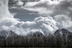 Prakiraan Cuaca Sumsel  Hari Ini: Kondisi Berawan dengan Peluang Hujan di Sejumlah Daerah