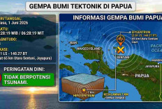 Pagi Ini Indonesia Diguncang Sejumlah Gempa, Terkuat M 4,4 di Papua