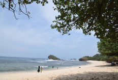 WOW! Inilah 7 Destinasi Wisata Paling Hits di Pacitan untuk Liburan Nataru