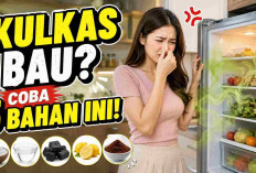 Kulkas Bau Tak Sedap? 5 Benda Rumahan Ini Bisa Bikin Aromanya Kembali Segar