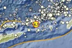 Gempa Magnitudo 4,3 Guncang Maluku Barat Daya pada Kedalaman 174 Km, Tak Berpotensi Tsunami