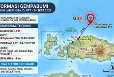 Gempa Magnitudo 4,0 Guncang Labuan Bajo NTT Pagi Ini, BMKG: Tak Berpotensi Tsunami