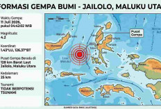 Gempa Magnitudo 4,2 Guncang Jailolo Maluku Utara Pagi Ini, BMKG: Tak Berpotensi Tsunami
