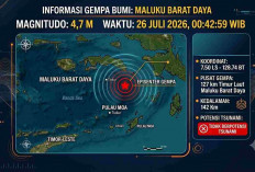 Gempa Beruntun Guncang Indonesia Minggu Dini Hari, Terkuat M 4,7 di Maluku Barat Daya