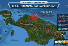 Pagi-Pagi Papua Diguncang Gempa M5,5, BMKG: Tak Berpotensi Tsunami