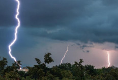 Prakiraan Cuaca Sumsel 29 Desember 2025: Waspada Hujan Petir di Musi Rawas dan OKUS