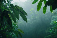 Prakiraan Cuaca Sumsel Hari Ini: Palembang Berpotensi Hujan Ringan, Sejumlah Daerah Berawan