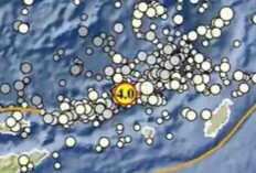 Gempa Magnitudo 4,0 Guncang Maluku Barat Daya pada Kedalaman 235 Km, Tak Berpotensi Tsunami
