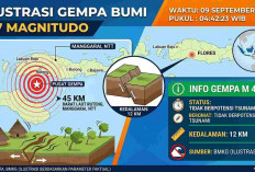Gempa Masih Terjadi di NTT Pagi Ini, Getaran Terkuat M4,7 di Ruteng