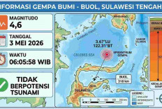 Gempa Beruntun Guncang Indonesia Pagi Ini, Buol Sulteng Terkuat M 4,6