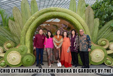 Mahakarya Nusantara Guncang Singapura: Orchid Extravaganza Resmi Dibuka di Gardens by the Bay!