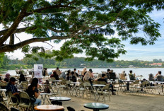 Cozy Banget! Ini Dia Kafe dengan Vibes Alam di Palembang, Ada Air Terjun yang Indah