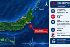 Gempa Magnitudo 4,3 dan 4,2 Terjadi di Sulawesi Utara Dihi Hari, Cek Lokasi Episentrumnya!
