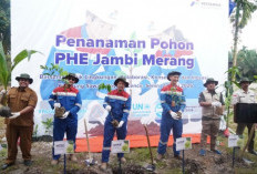 Ciptakan Lingkungan yang Baik, PHE Jambi Merang Ajak Warga hingga Mahasiswa Tanam Pohon Besama