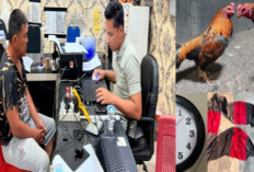 Satreskrim Polres OKU Timur Ringkus Pelaku Perjudian Sabung Ayam di Madang Suku II