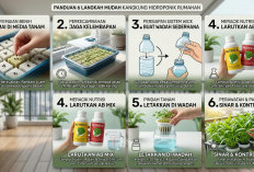 Panen Hanya Dalam 20 Hari: 6 Langkah Mudah Menanam Kangkung Hidroponik di Rumah Tanpa Tanah & Bebas Pestisida